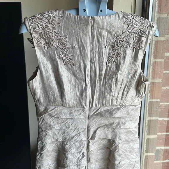 Beautiful London Times champagne Lace Mini Cocktail Dress - Picture 11 of 12